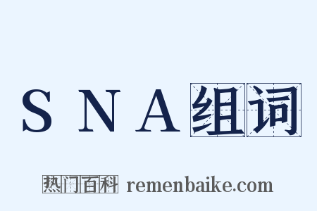 SNA组词是什么意思的图片